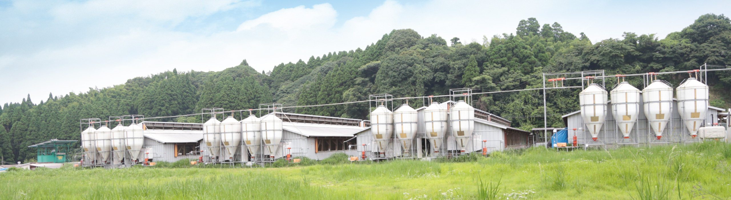 さいき農場
